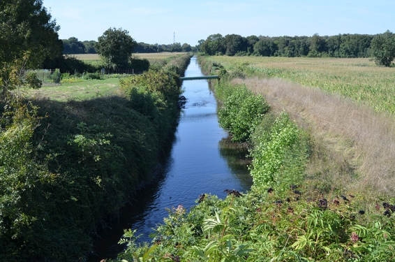 (c) Cavernes en Saintonge