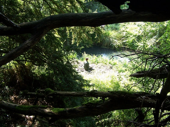 (c) Cavernes en Saintonge